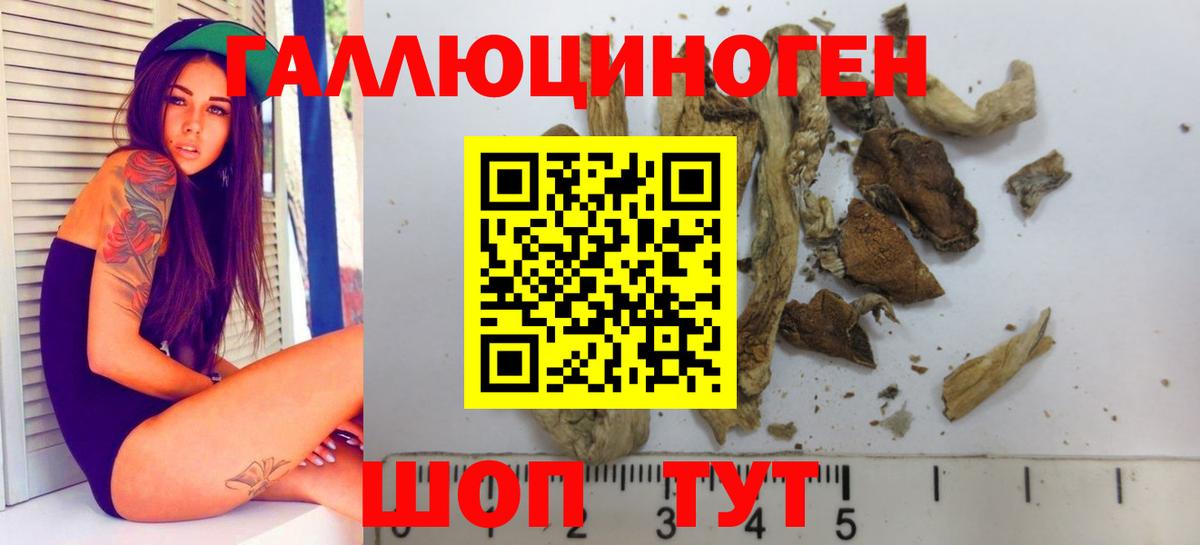 Псилоцибиновые грибы ЛСД  цены наркотик  Псилоцибиновые грибы Psilocybine cubensis  Лабытнанги  Вход с VPN 